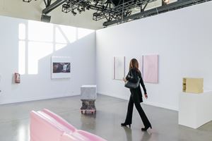 Shahryar Nashat, <a href='/art-galleries/david-kordansky-gallery/' target='_blank'>David Kordansky Gallery</a>, Independent, New York (6–8 March 2020). Courtesy Ocula. Photo: Charles Roussel.